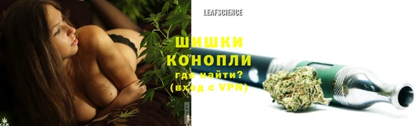 гидра Нея
