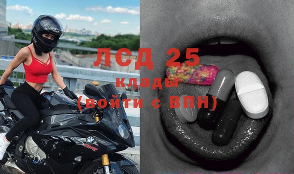 гашик Надым