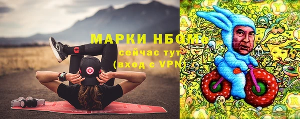 гашик Надым