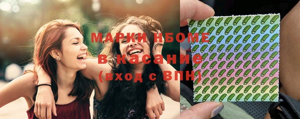 гашик Надым