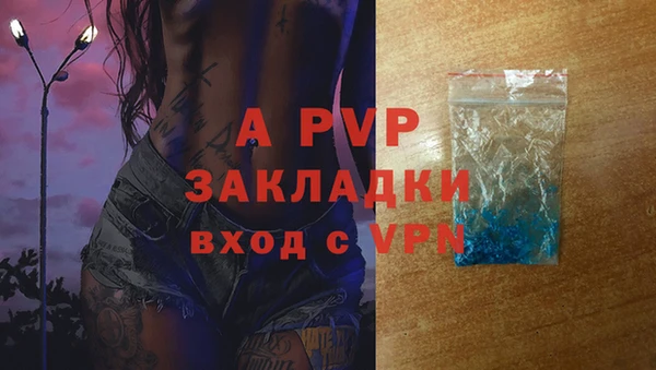 мяу мяу мука Михайлов