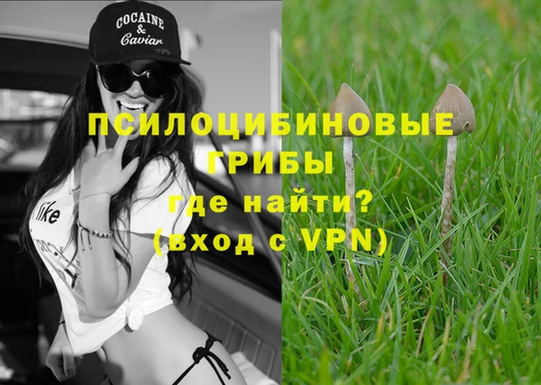 соль ск Навашино