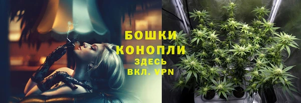гашик Надым