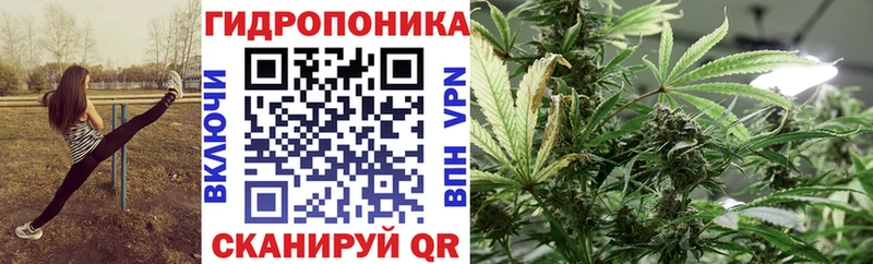 Бошки марихуана SATIVA & INDICA  blacksprut tor  Орлов  купить  